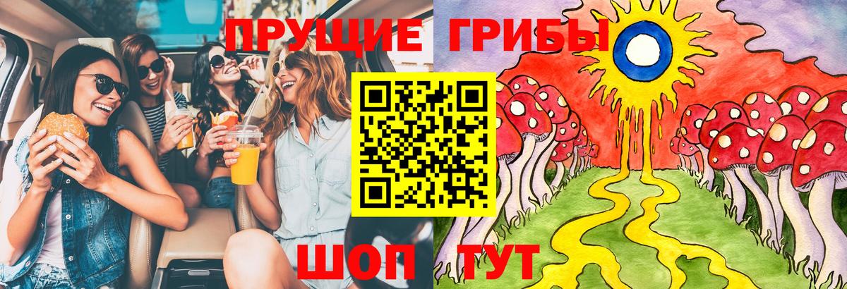 купить   Псилоцибиновые грибы Psilocybe  Ижевск  Вход с VPN  Псилоцибиновые грибы MAGIC MUSHROOMS 