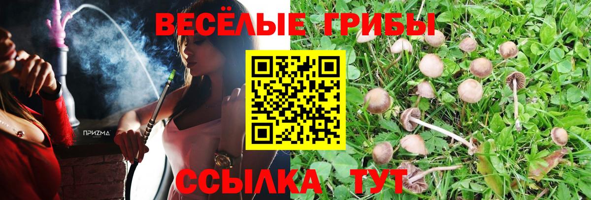 Галлюциногенные грибы прущие грибы Ижевск